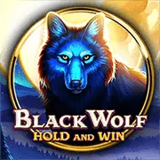 Cá cược thể thao 84win