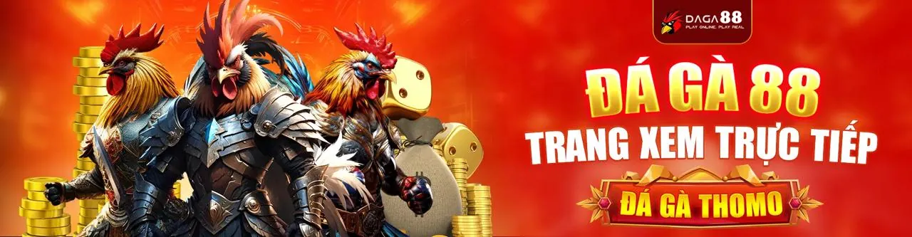 Hình ảnh đại diện Điều Khoản Dịch Vụ 84win nhà cái