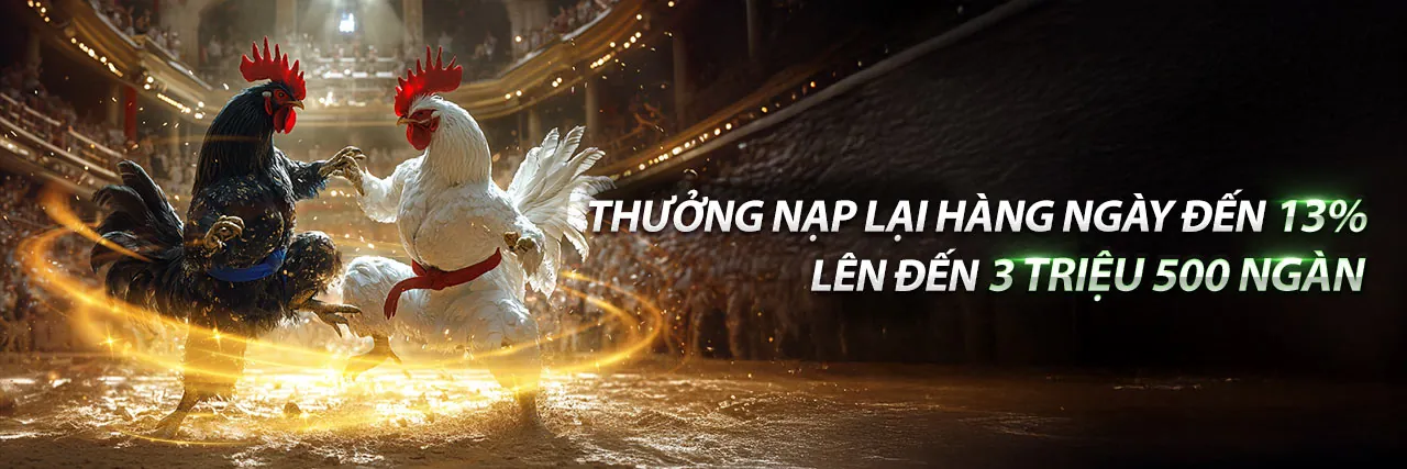 Tin tức và Cập nhật mới nhất từ Nhà cái 84win